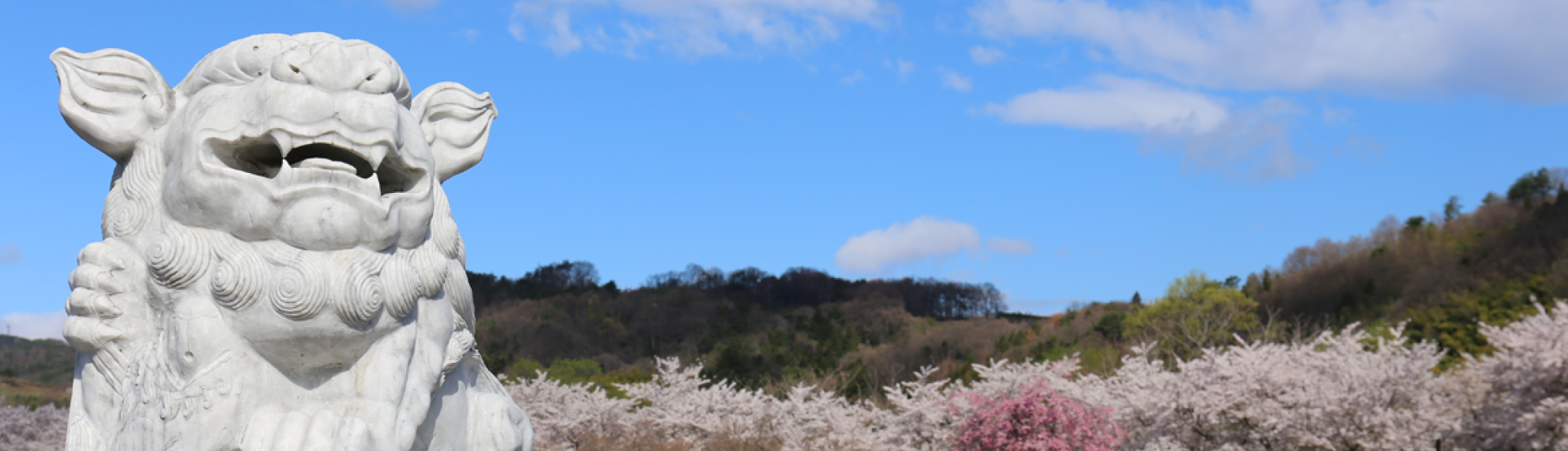 福島市飯坂町の墓地飯坂霊園の区画・料金についてのご案内